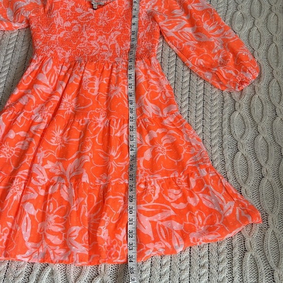 ⭐️⭐️HP ⭐️⭐️Skies Are Blue Apricot Lane dress - Picture 12 of 15